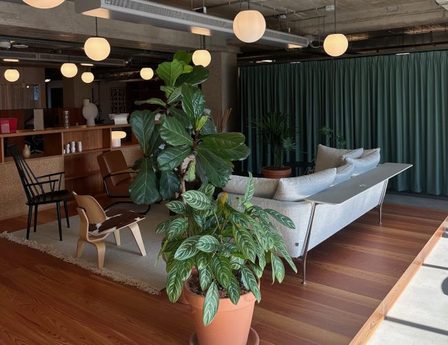 Amsterdam office